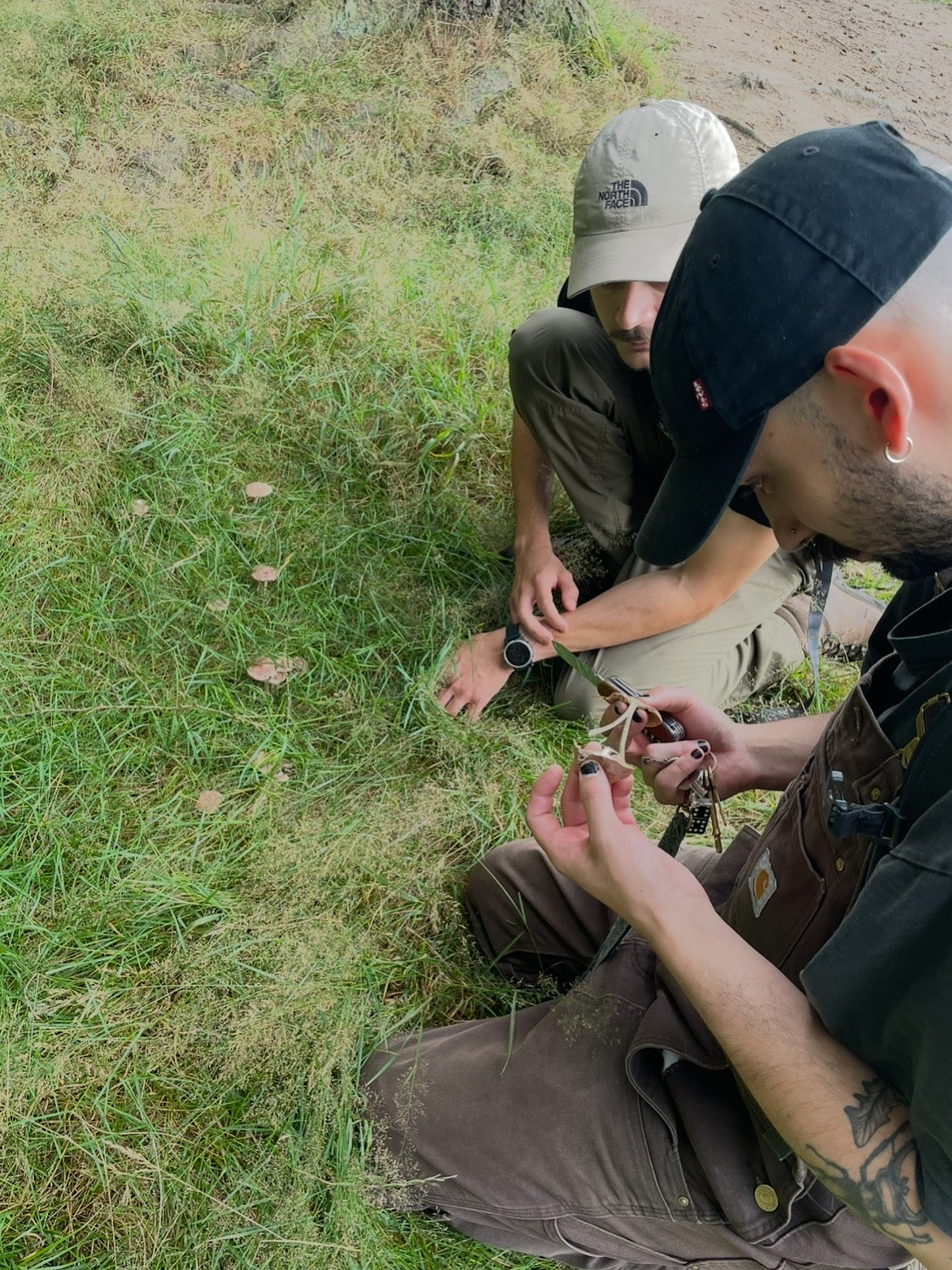 Urban Foraging Workshop