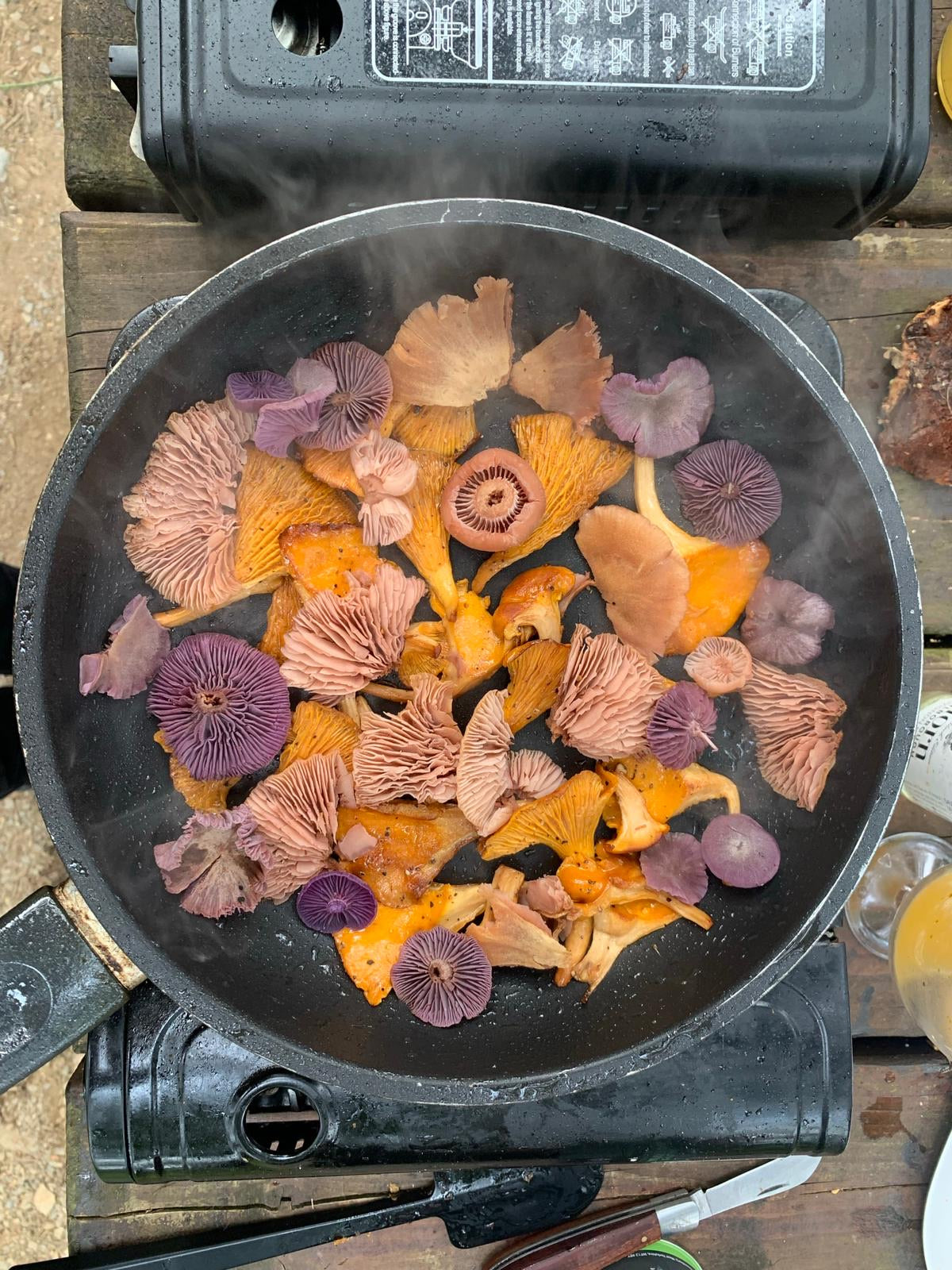 Foraging Workshop