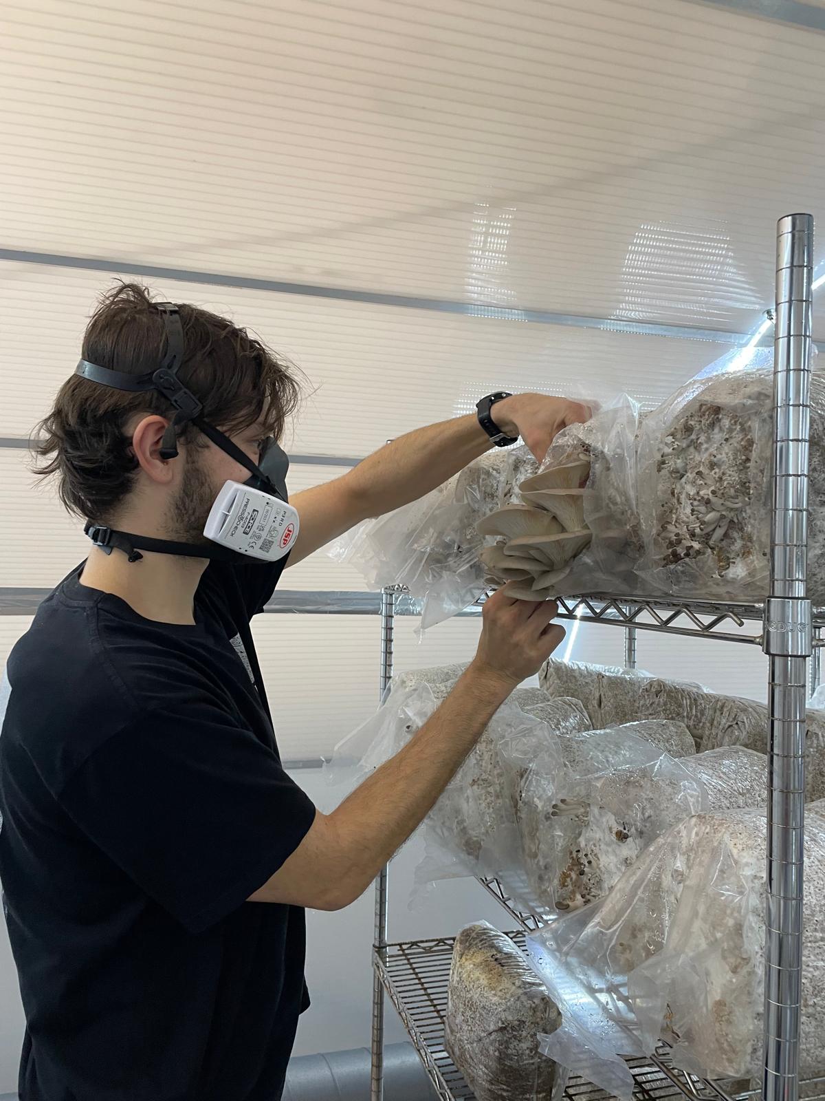 Mushroom Growing Workshop