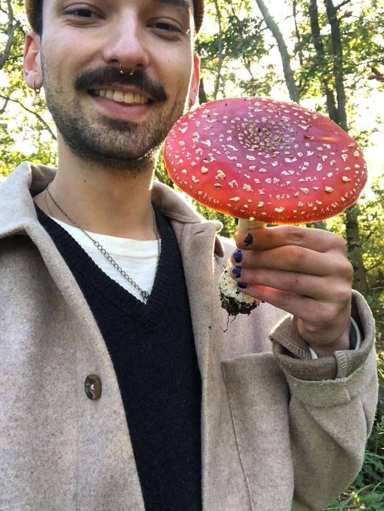 Foraging Workshop
