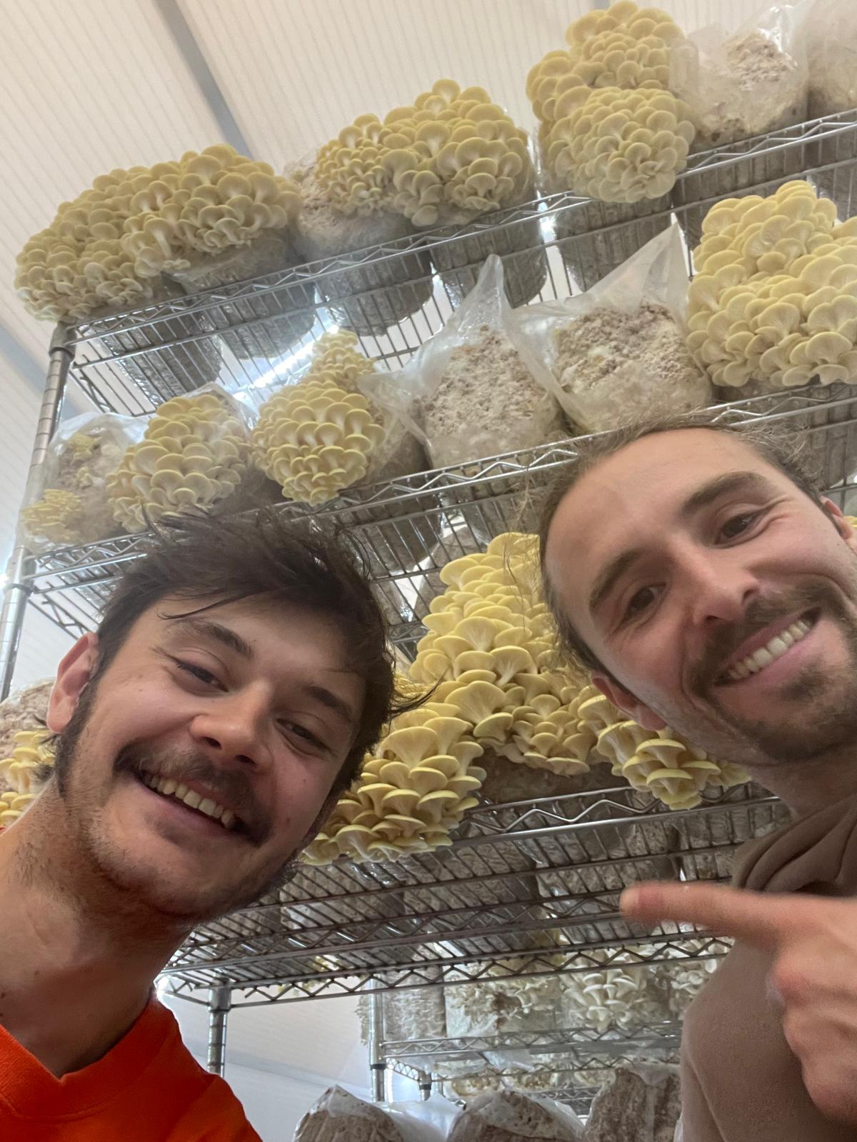 Mushroom Farm Tour