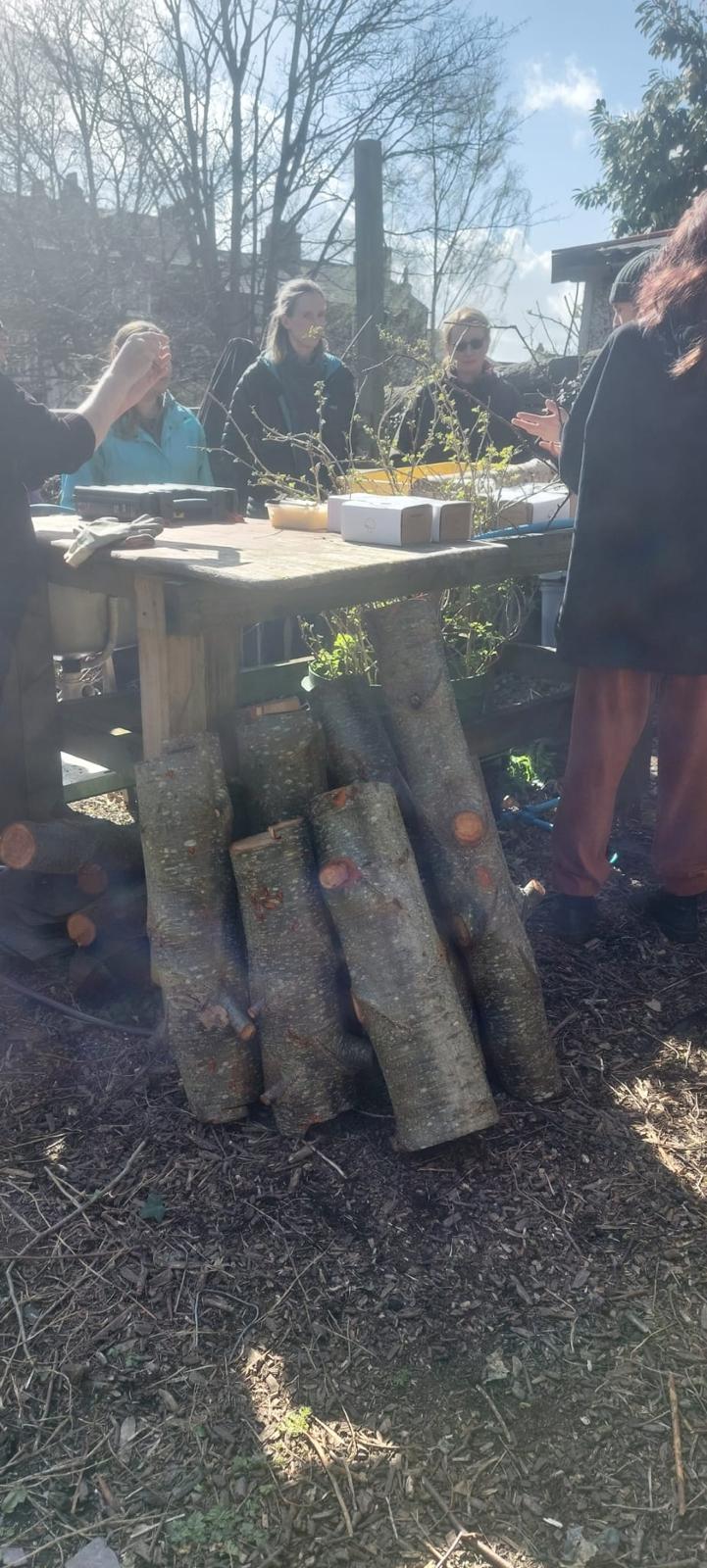 Mushroom Log Growing Workshop