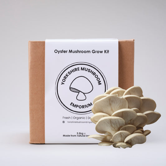 Pearl Oyster Mushroom Grow Kit
