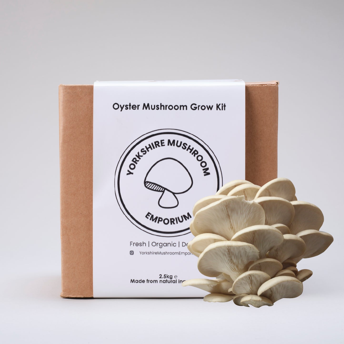 Pearl Oyster Mushroom Grow Kit