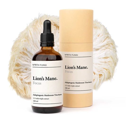 Lions Mane Mushroom Tincture 100ml
