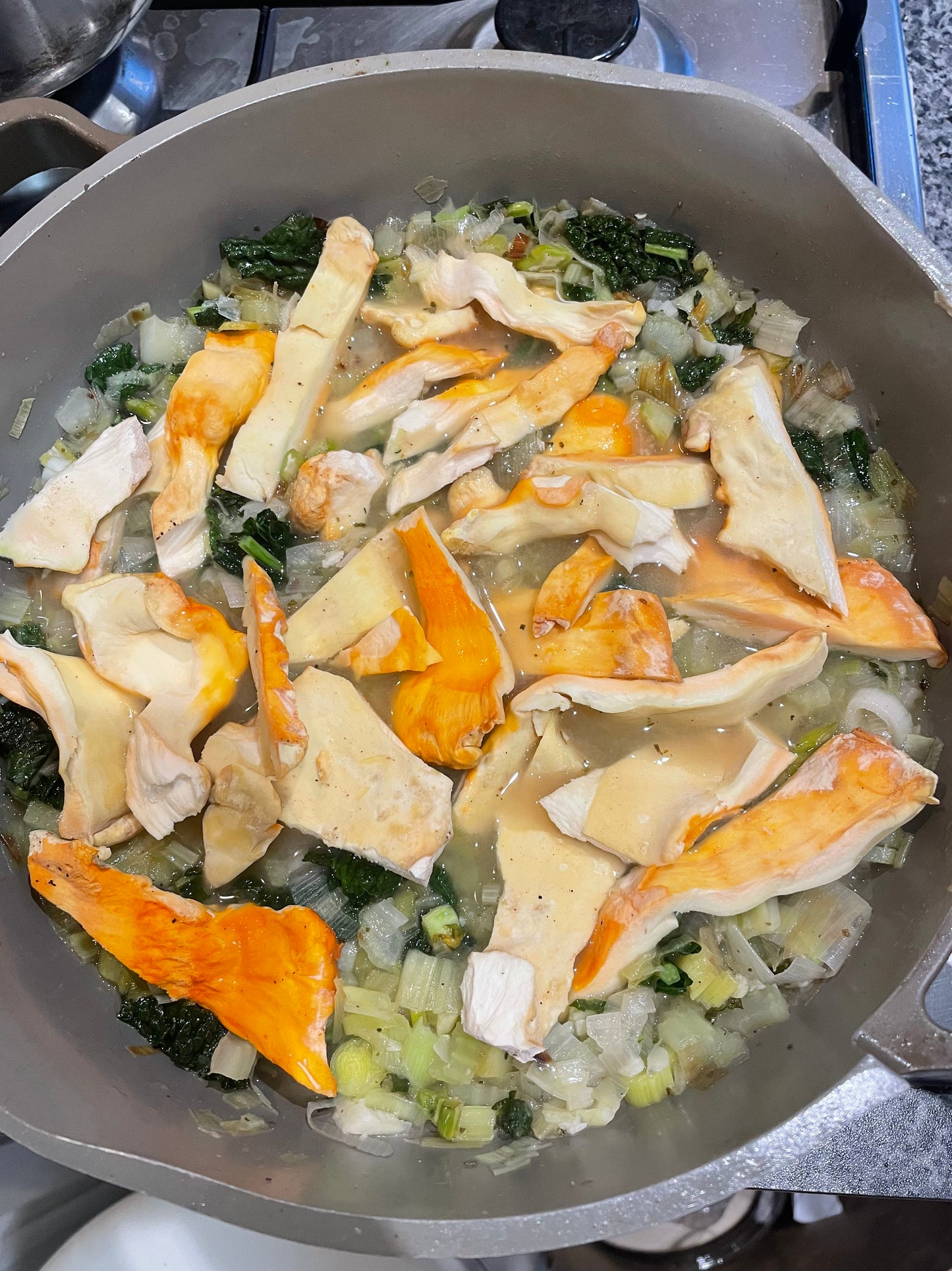 Chicken of the Woods Log Kit