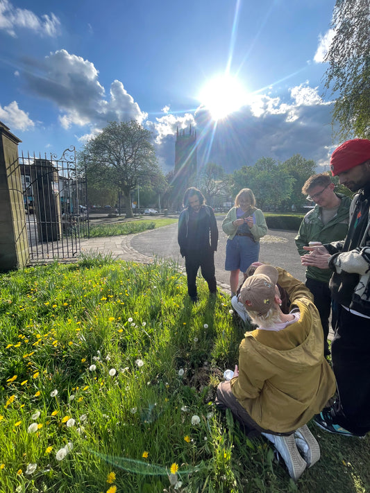 Urban Foraging Workshop