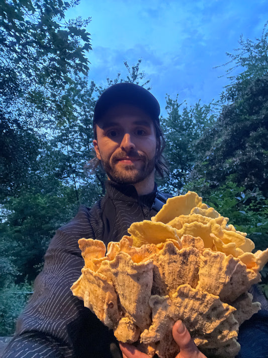 Urban Foraging Workshop