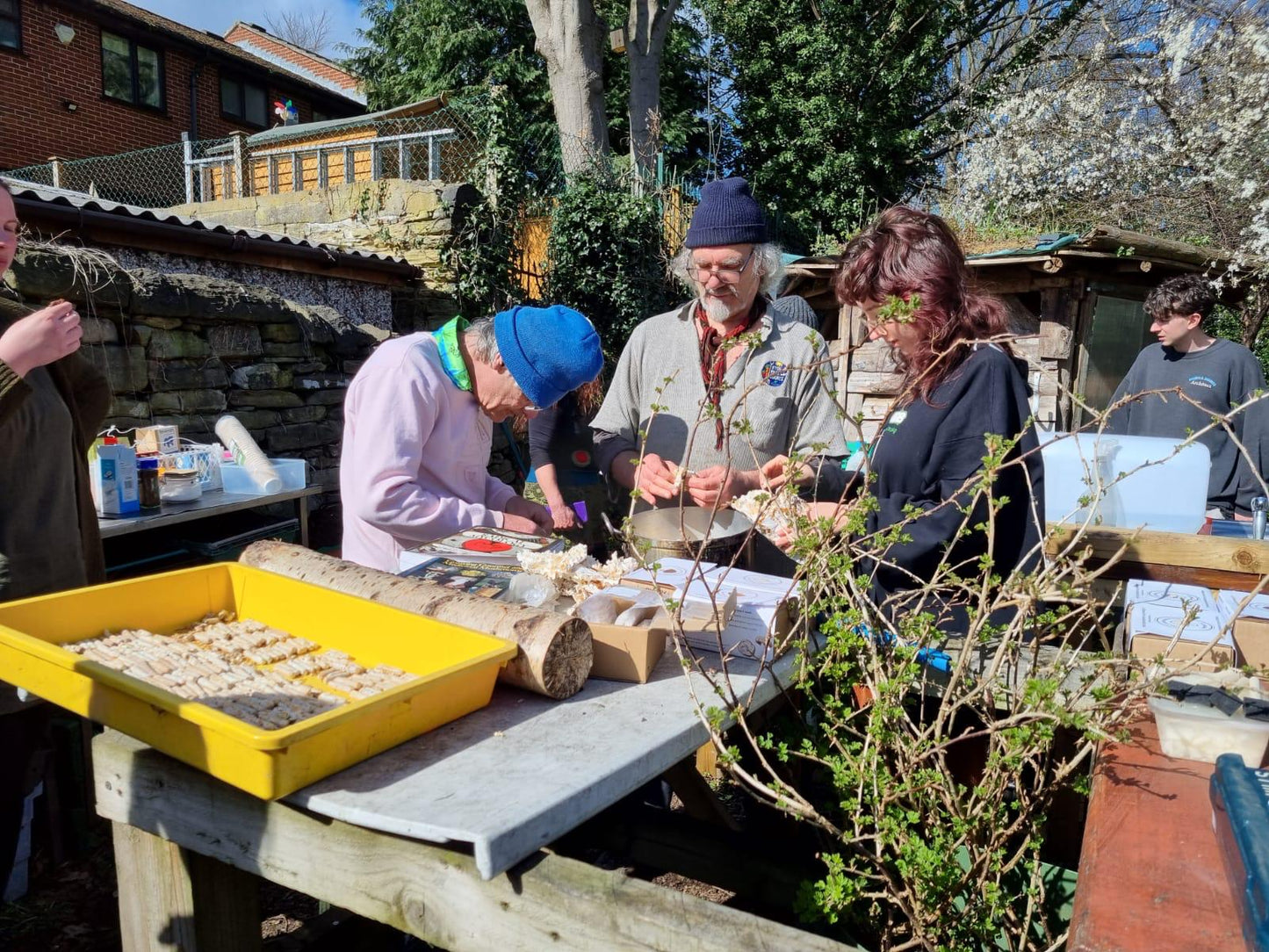 Mushroom Log Growing Workshop