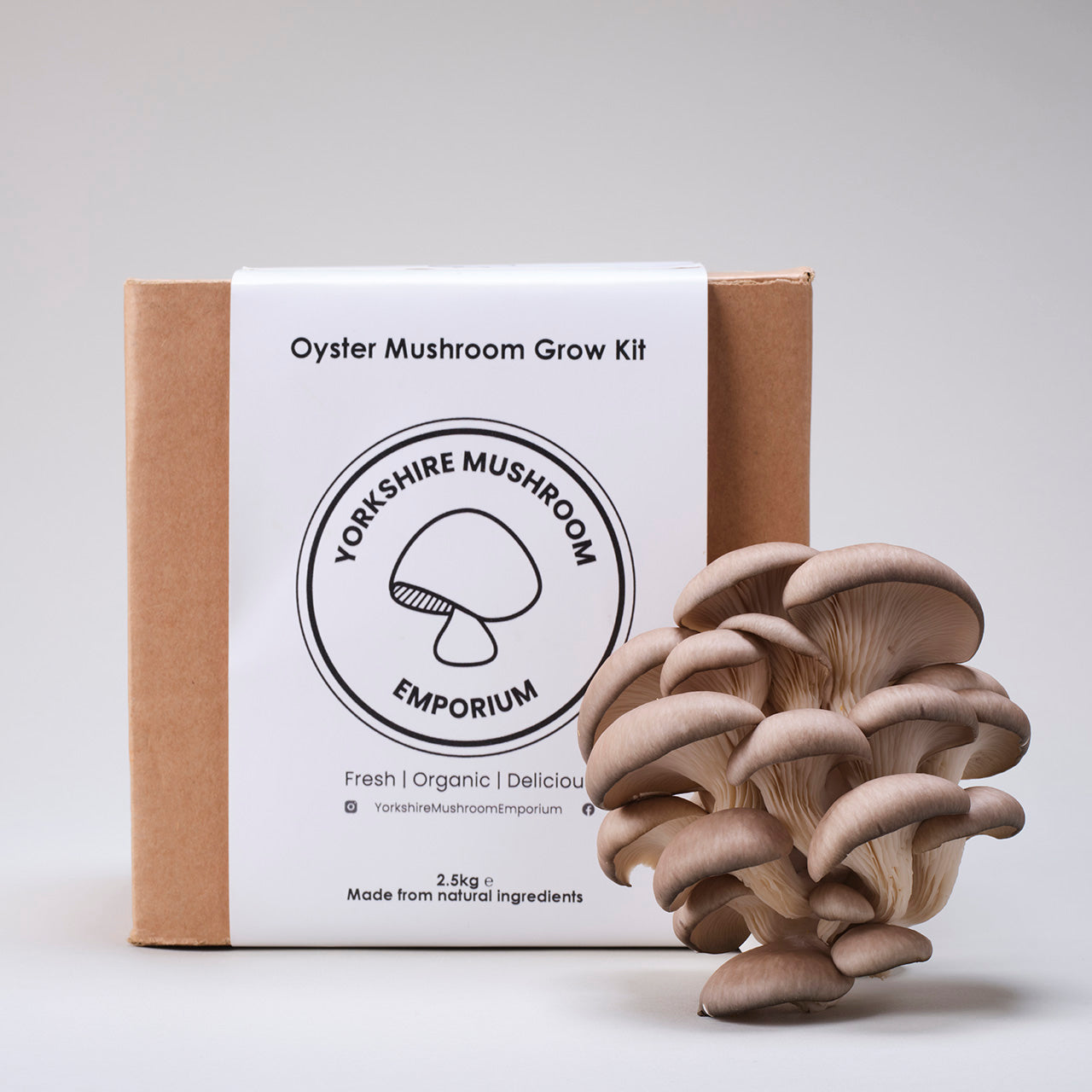 Grey Oyster Mushroom Grow Kit