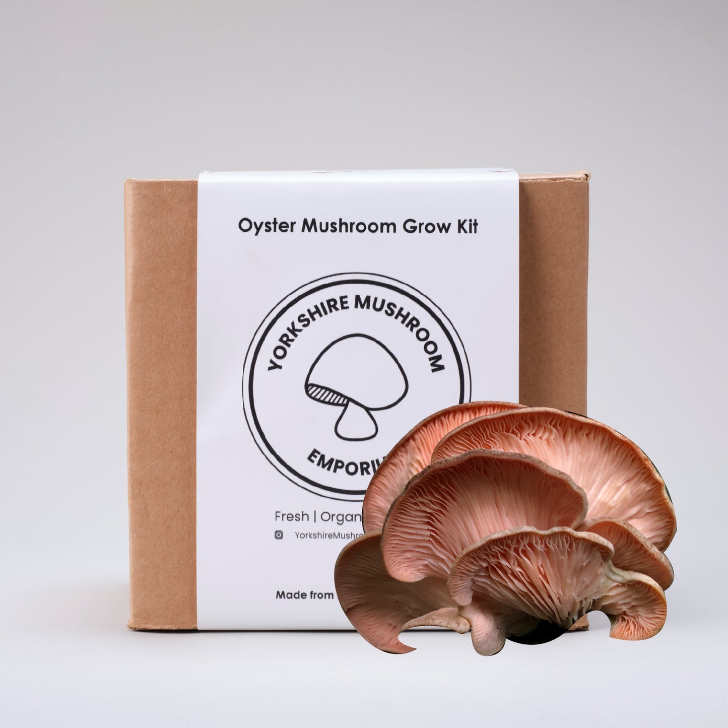 Pink Oyster Mushroom Grow Kit
